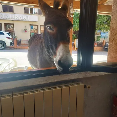 Hotel U Pozzu *
