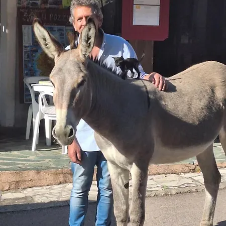 Ξενοδοχείο U Pozzu